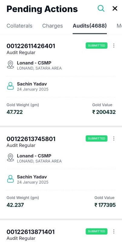 Inventory and Gold Audit system in GLIMS